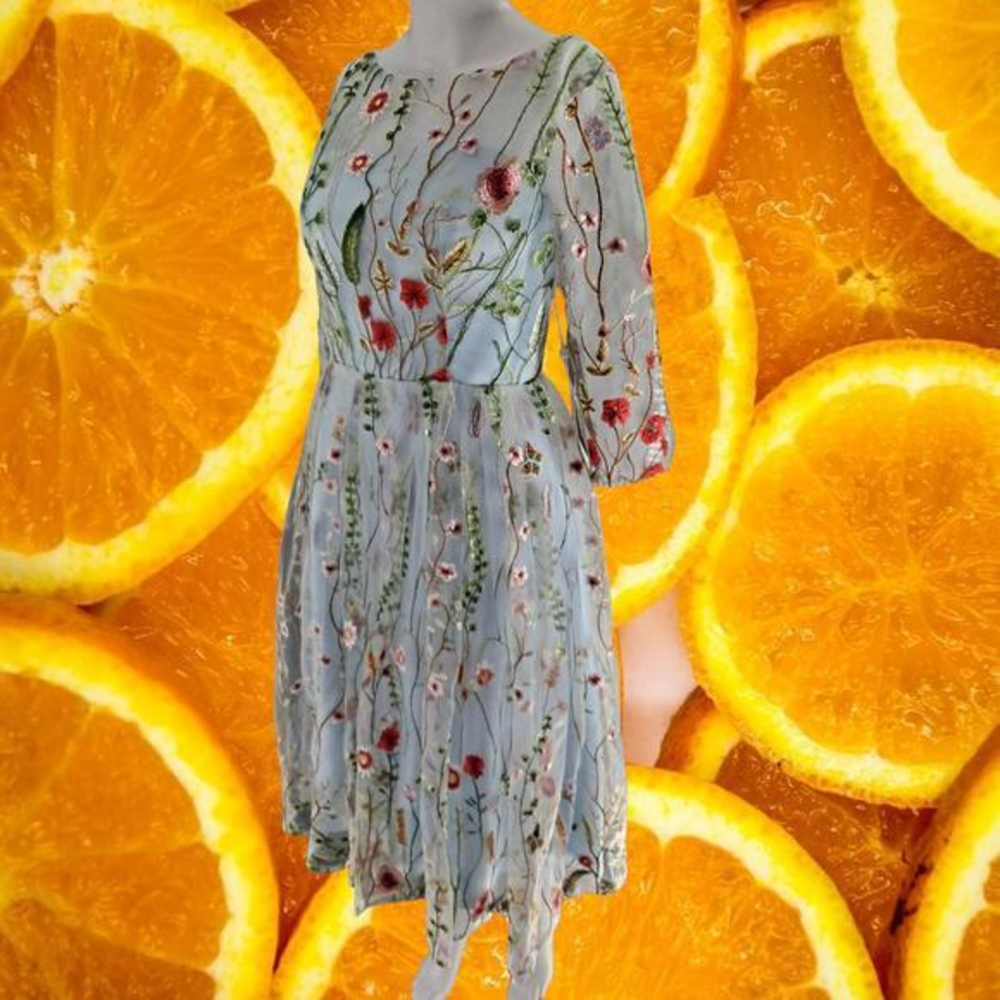 New TS Couture Whimsical Embroidered Floral‎ Light Blue Dress and Lace Down